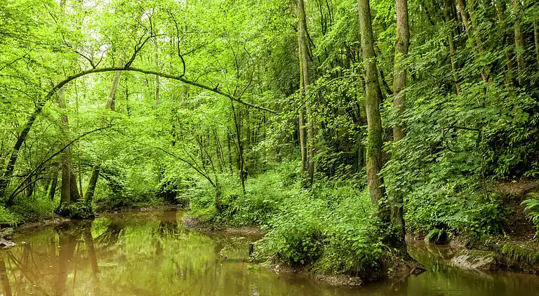Apartment in Barvaux-sur-Ourthe
