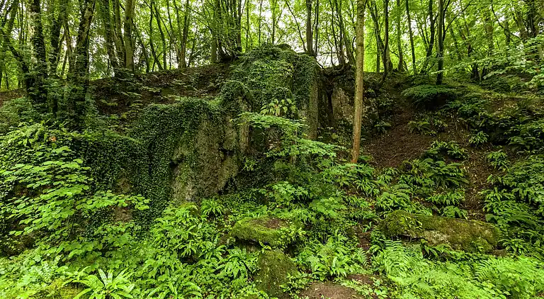 Apartment in Barvaux-sur-Ourthe
