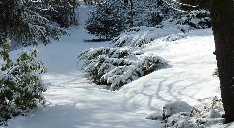 Ferielejlighed i Barvaux-sur-Ourthe