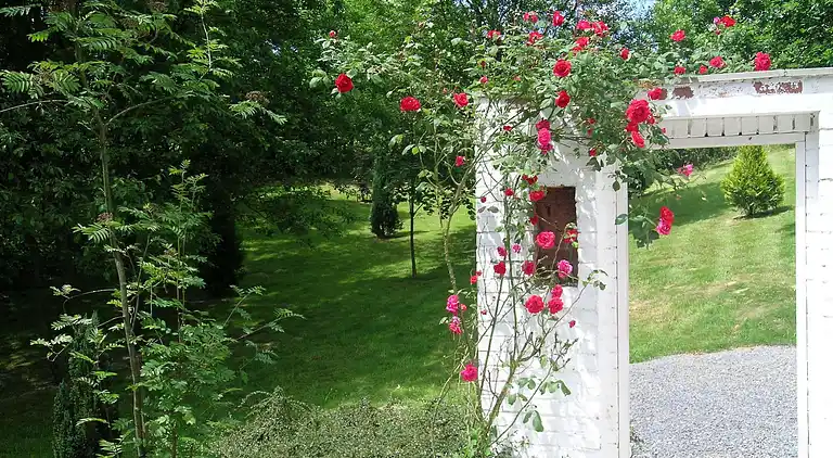 Sommerhus i Barvaux-sur-Ourthe