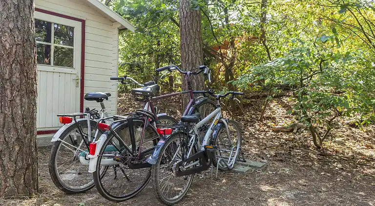 Holiday home in Nunspeet