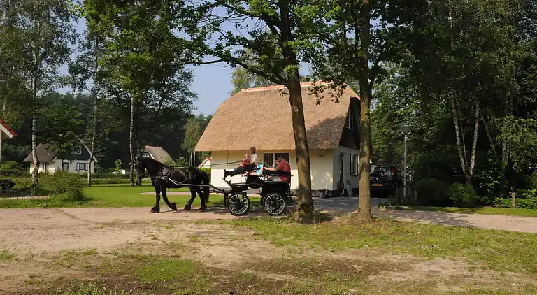 Holiday home in Heeten