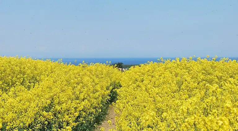 Bungalow in Baltic Sea Germany