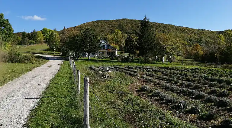 Ajda Lavendel-Wohnung in Mutilić, Kroatien – Apartment mit 2