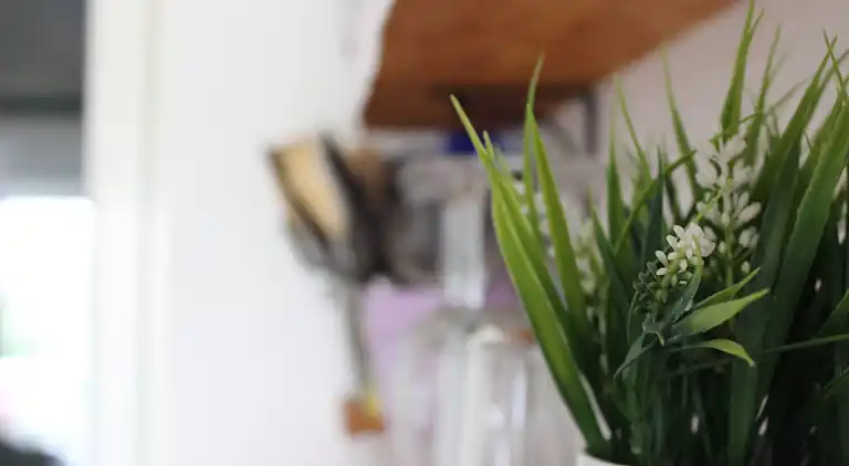 Ajda Lavendel-Wohnung in Mutilić, Kroatien – Apartment mit 2