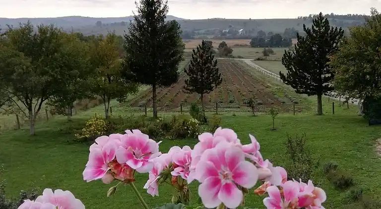 Ajda Lavendel-Wohnung in Mutilić, Kroatien – Apartment mit 2