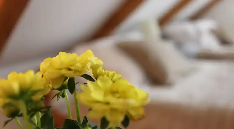 Ajda Lavendel-Wohnung in Mutilić, Kroatien – Apartment mit 2