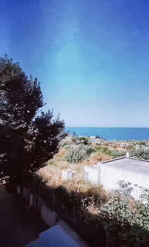 Villa Bianca with sea view
