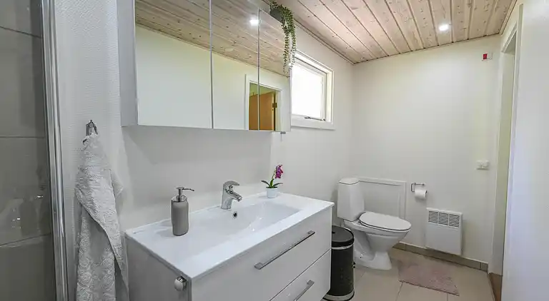 Feriebolig i Ulfborg