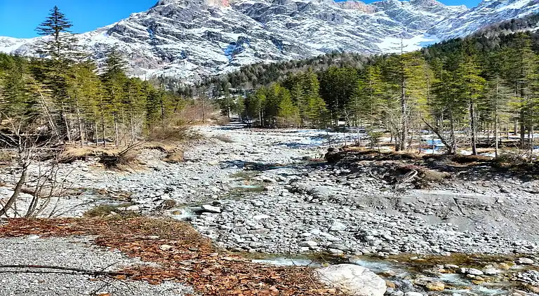 Apartment in Maria Alm