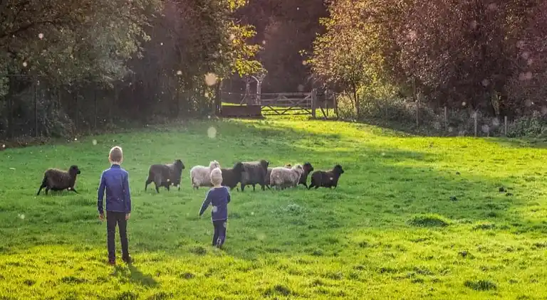 Farm house in Wijlre