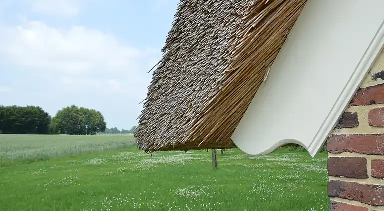 Farm house in Geesteren