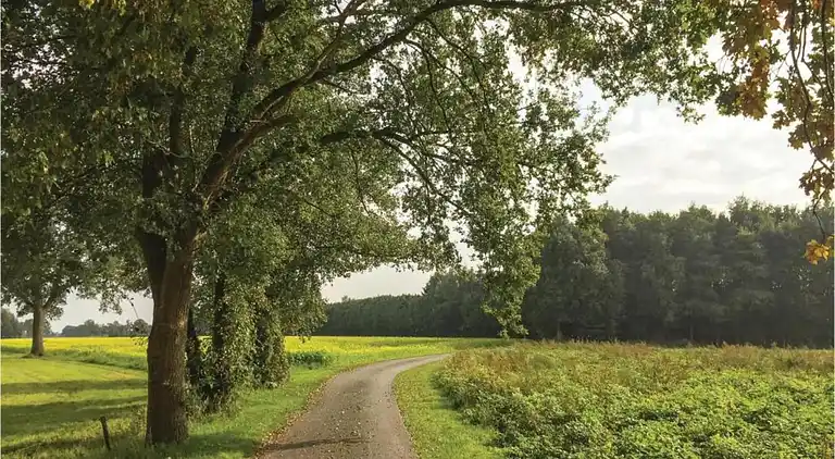 Farm house in Geesteren