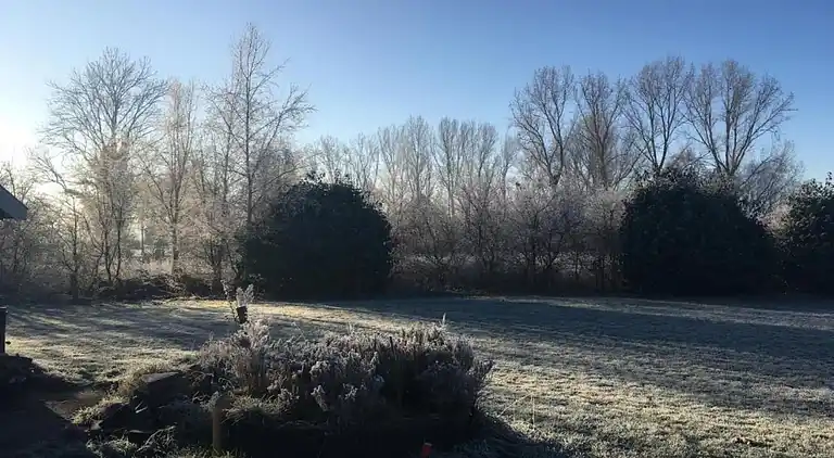 Gårdhus i Geesteren