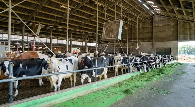 Gårdhus i Geesteren