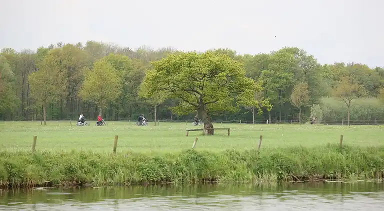 Holiday home in Dalfsen