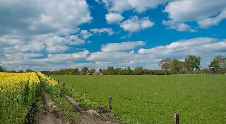 Holiday home in Dalfsen