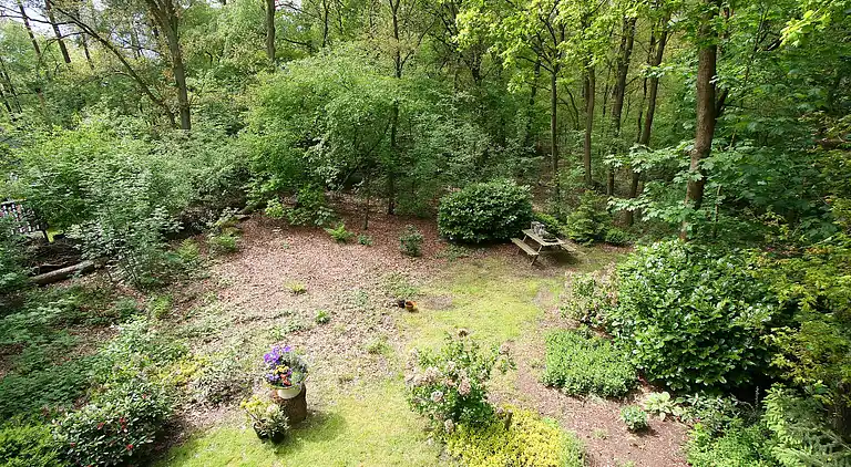 Holiday home in Dalfsen