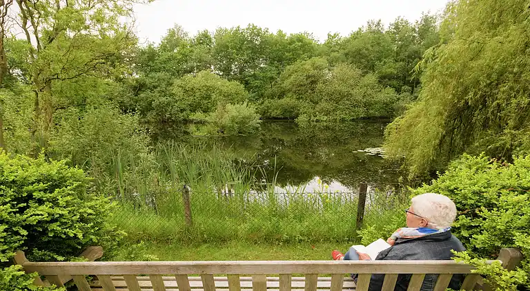 Farm house in Balkbrug