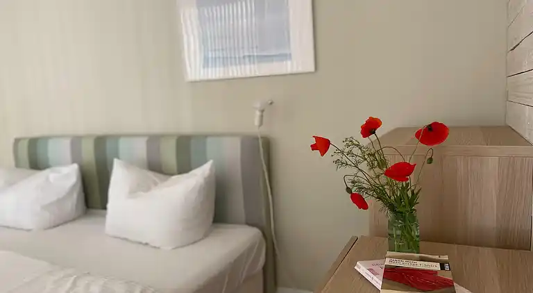 Ferielejlighed i Saal