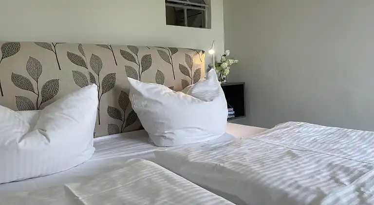 Ferielejlighed i Saal