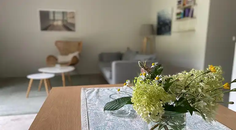 Ferielejlighed i Saal