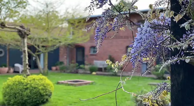 Ferielejlighed i Saal