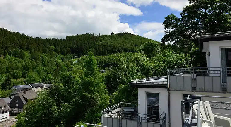 Apartment in Willingen (Upland)