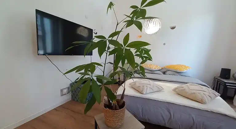 Hervorragende Maisonette von 90 m² in Mulhouse – Ideale