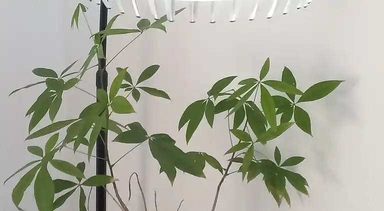 Hervorragende Maisonette von 90 m² in Mulhouse – Ideale