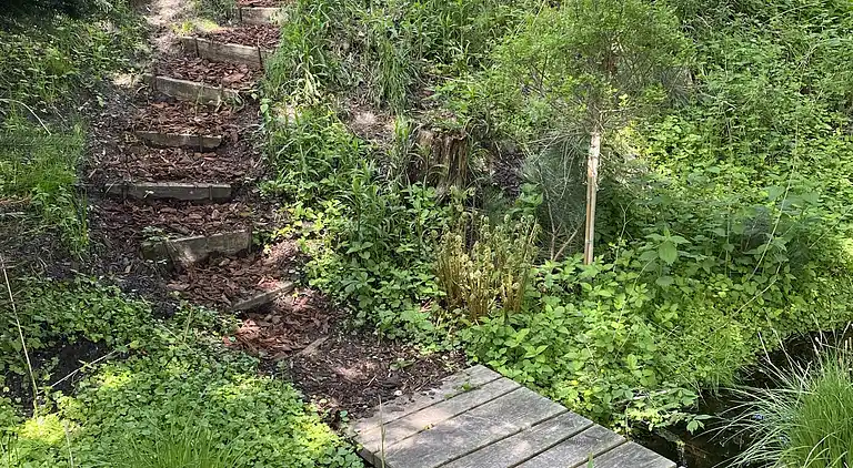 Veddinge Bakker - Havudsigt og parklignende have