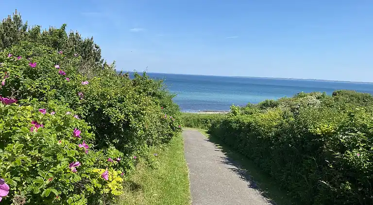Veddinge Bakker - Havudsigt og parklignende have