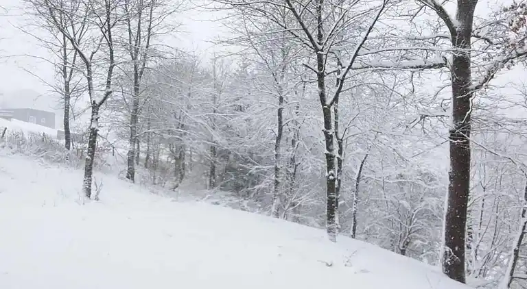 Cottage in Robertville