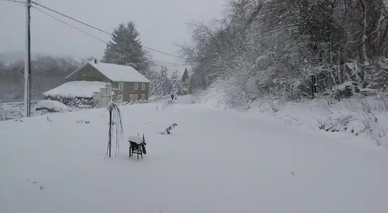Cottage in Robertville