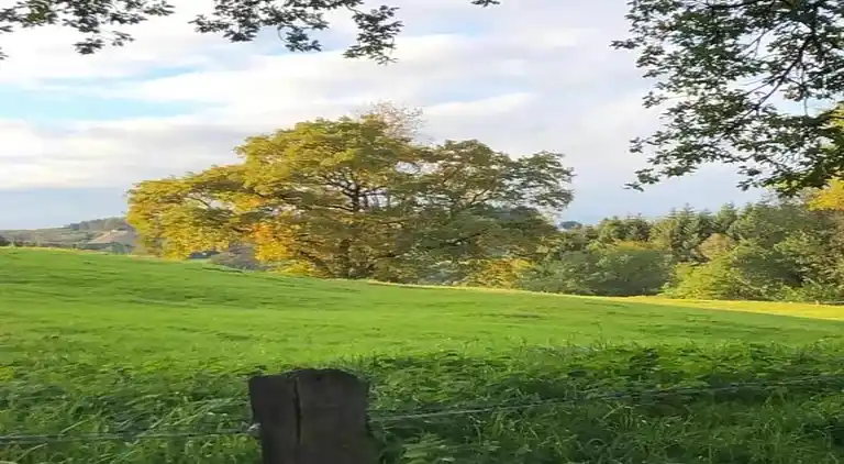 Sommerhus i Robertville