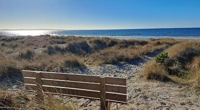 Sommerhus med spa og tæt på Sommerland Sjælland