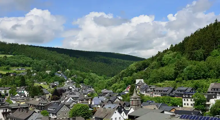 Ferielejlighed i Willingen (Upland)