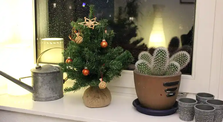 Ferielejlighed i Usseln