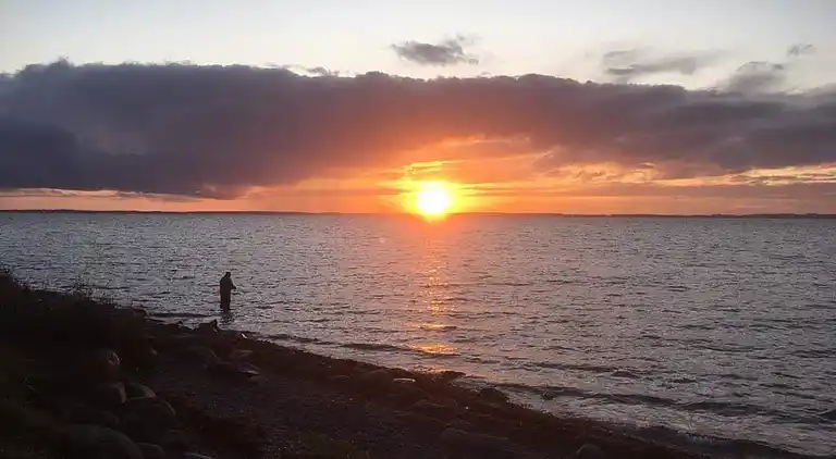 Familievenligt hus nær strand med stor have