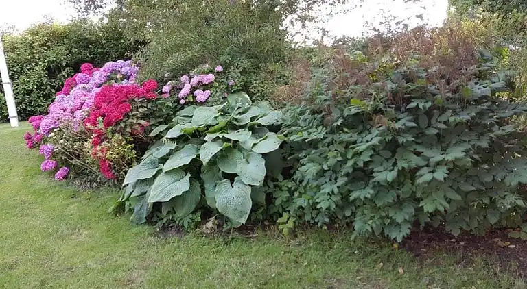 Familievenligt hus nær strand med stor have