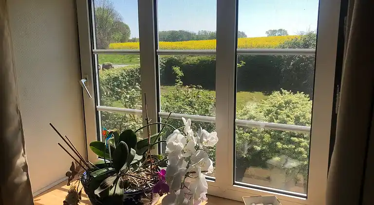 Familievenligt hus nær strand med stor have