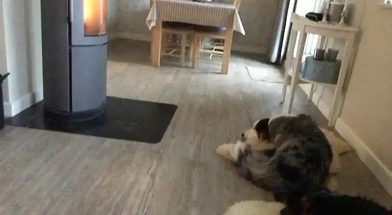 Familievenligt hus nær strand med stor have