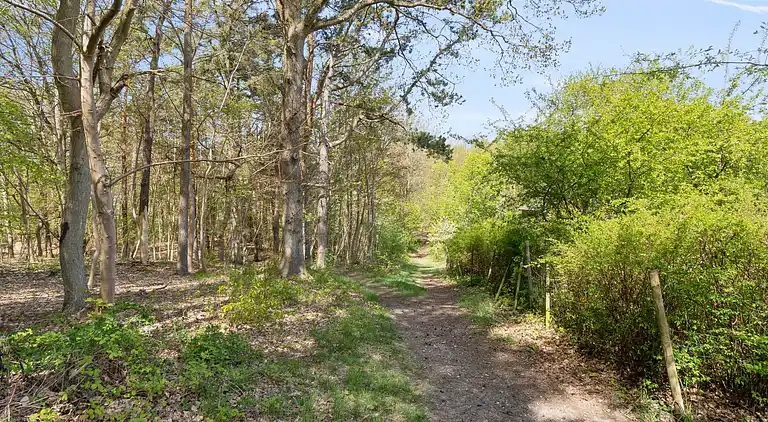 En fredfyldt oase nær strand og skov