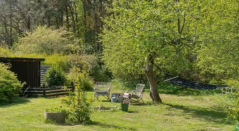 En fredfyldt oase nær strand og skov