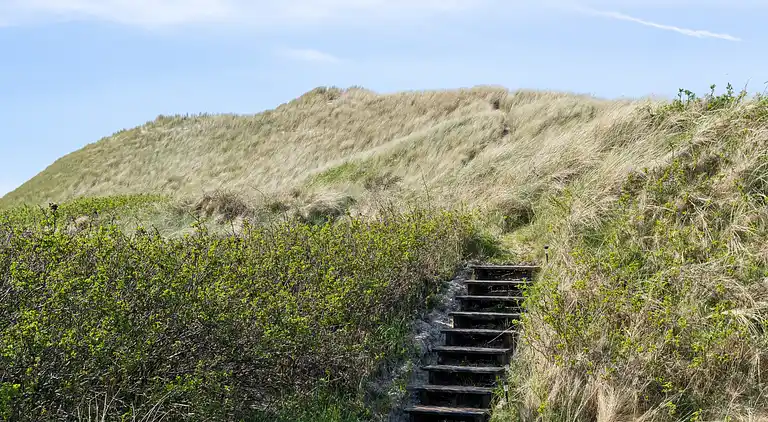 Førsteparket til Vesterhavet i moderne sommerhus