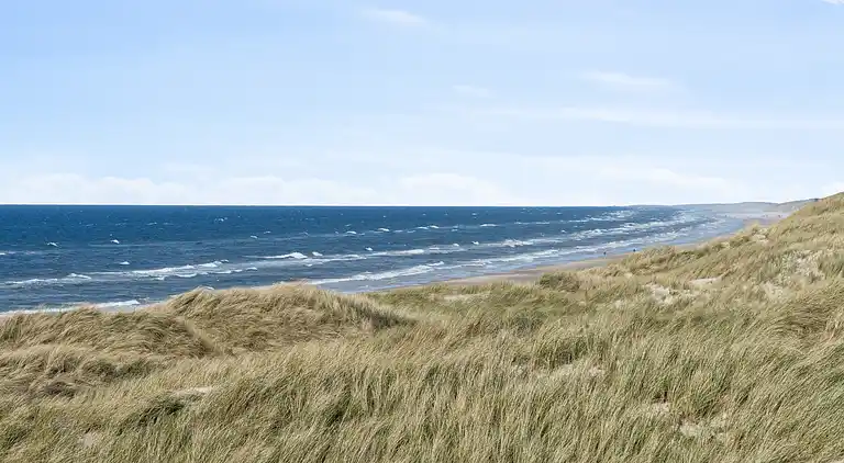 Førsteparket til Vesterhavet i moderne sommerhus
