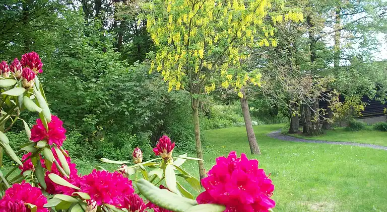 Cottage in Francorchamps