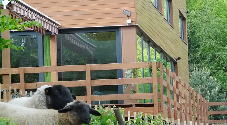 Feriebolig i Stavelot