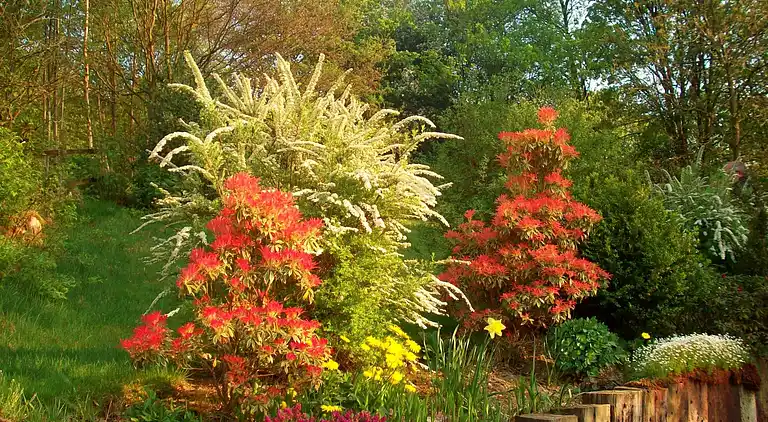 Cottage in Francorchamps