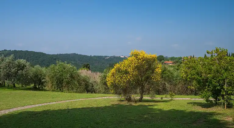 Leilighet i Montaione